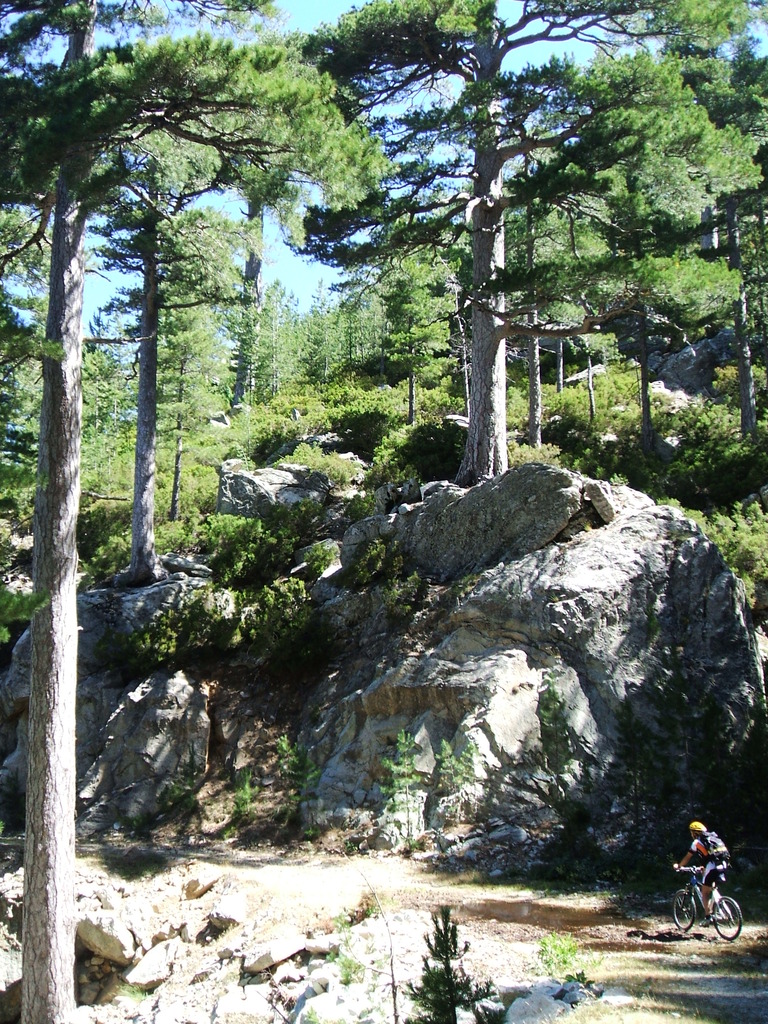 nevicata casa 20.03.2009 036 - 