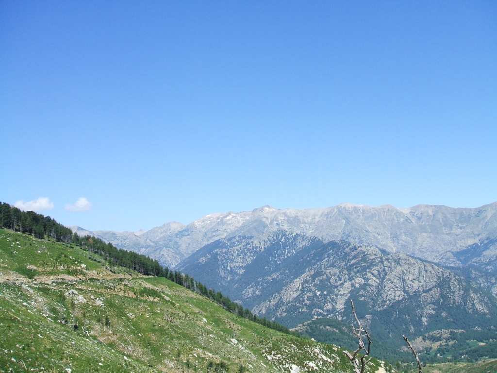 nevicata casa 20.03.2009 043 - 