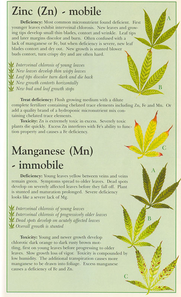 19753Zinc-Manganese - 