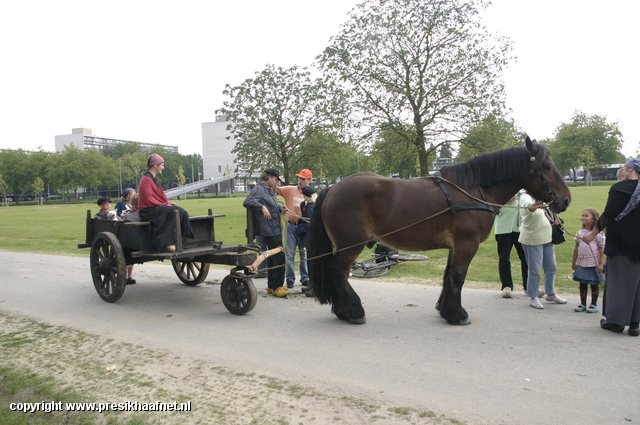 2007 09 23 075 power Horse