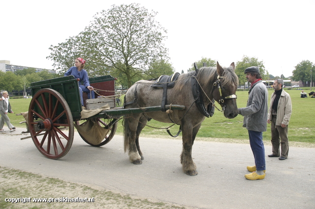 2007 09 23 096 power Horse