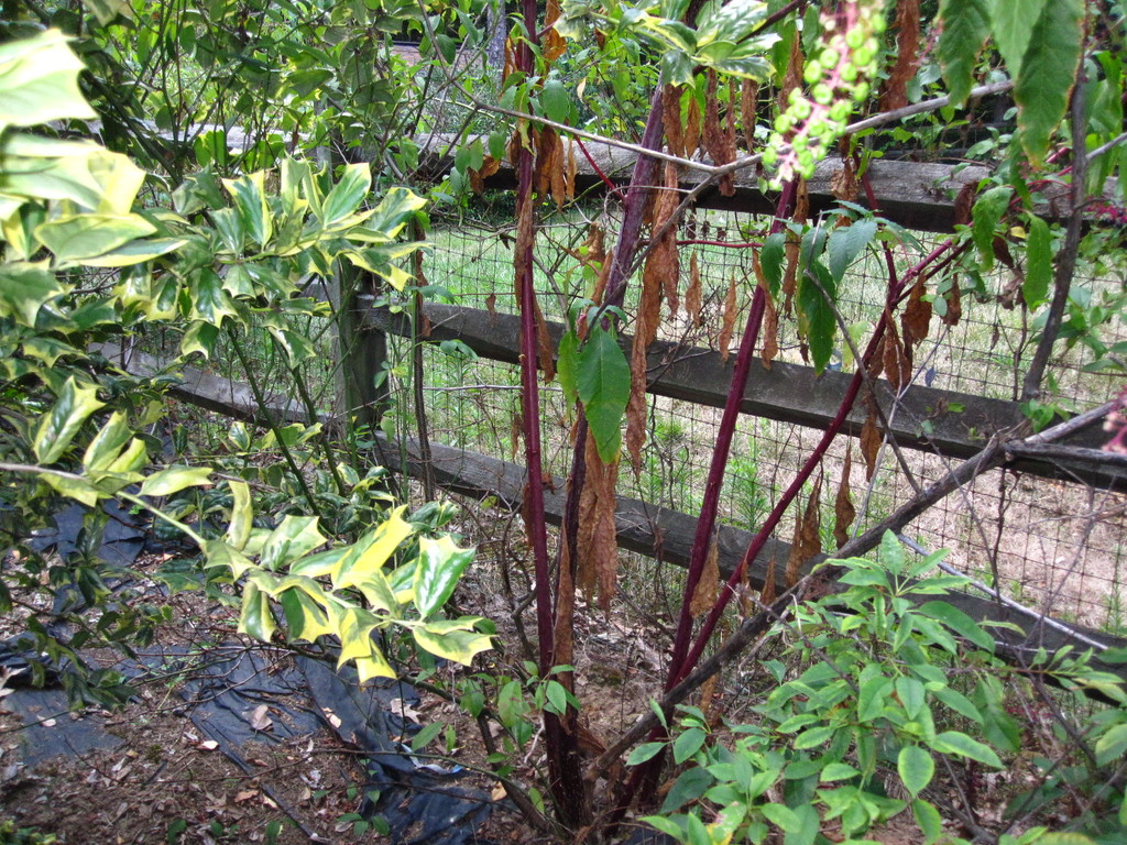 IMG 2957 - ZdjÄ™cia rÃ³Å¼ne