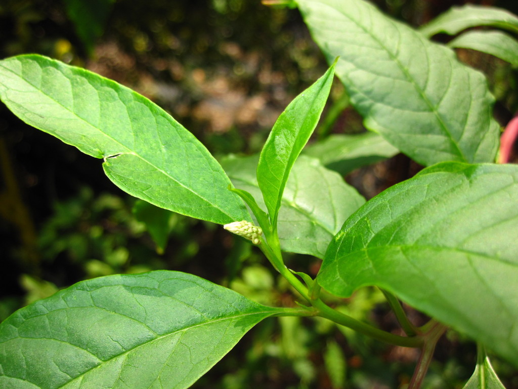 IMG 2971 - ZdjÄ™cia rÃ³Å¼ne