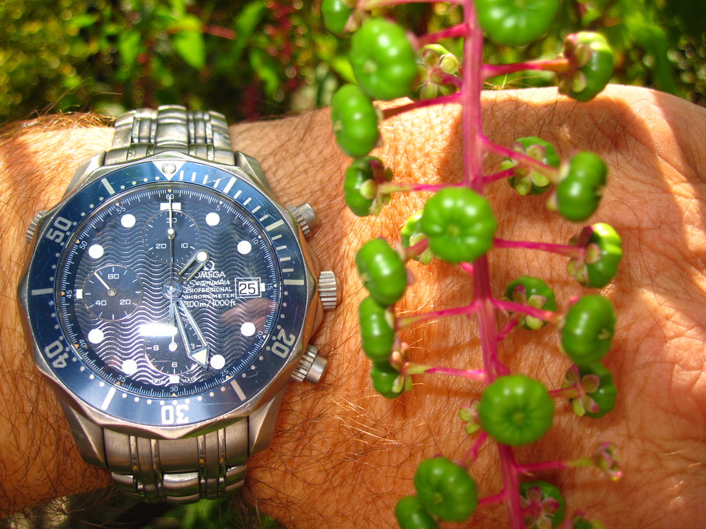 IMG 2973 - ZdjÄ™cia rÃ³Å¼ne