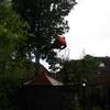 Eikenboom om 25-09-07 016 - Eikenboom achtertuin om 25-...