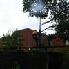 Eikenboom om 25-09-07 057 - Eikenboom achtertuin om 25-...