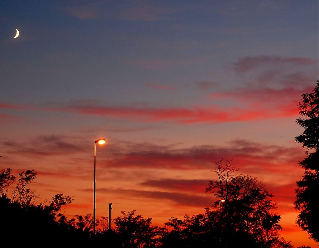 DSC 0050 modificato-1 - 