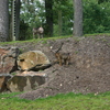 © René Vriezen 2009-07-18 #... - WWP 2 Burgers Zoo Arnhem za...