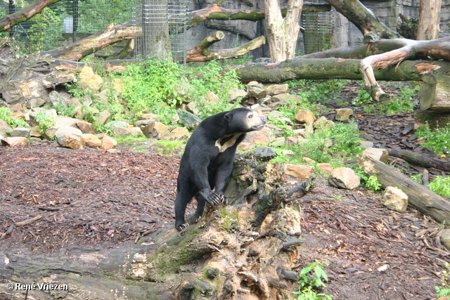 Â© RenÃ© Vriezen 2009-07-18 #0028 WWP 2 Burgers Zoo Arnhem zaterdag 18 juli 2009