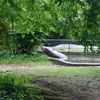 Â© RenÃ© Vriezen 2009-07-18... - WWP 2 Burgers Zoo Arnhem za...