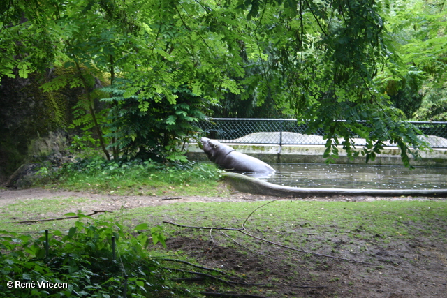 Â© RenÃ© Vriezen 2009-07-18 #0011 WWP 2 Burgers Zoo Arnhem zaterdag 18 juli 2009