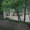 Â© RenÃ© Vriezen 2009-07-18... - WWP 2 Burgers Zoo Arnhem za...