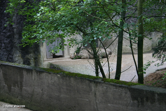 Â© RenÃ© Vriezen 2009-07-18 #0012 WWP 2 Burgers Zoo Arnhem zaterdag 18 juli 2009