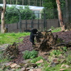 Â© RenÃ© Vriezen 2009-07-18... - WWP 2 Burgers Zoo Arnhem za...