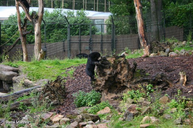 Â© RenÃ© Vriezen 2009-07-18 #0019 WWP 2 Burgers Zoo Arnhem zaterdag 18 juli 2009