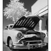 Lead Sled Infra - Infrared photography