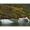 Ice in the Fall - Alaska and the Yukon