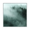 misty trees - Alaska and the Yukon