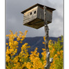 Yukon birdhouse - Alaska and the Yukon