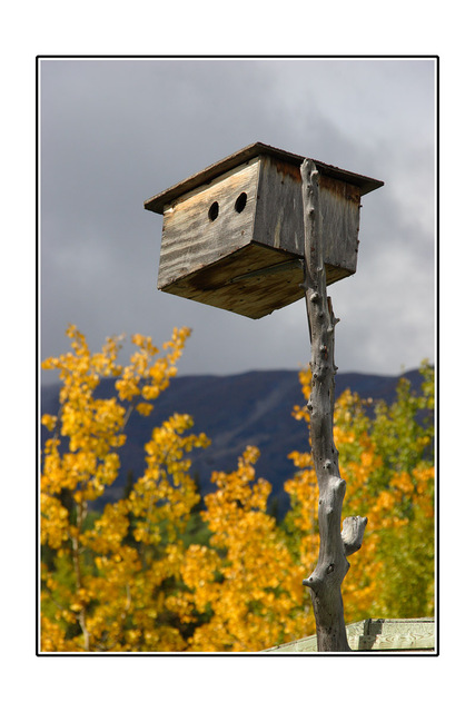 Yukon birdhouse Alaska and the Yukon