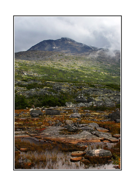 Yukon Landscape Alaska and the Yukon