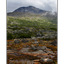 Yukon Landscape - Alaska and the Yukon
