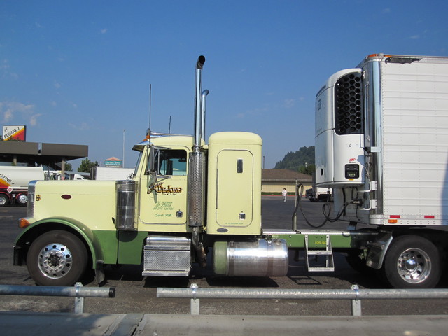IMG 3023 Trucks