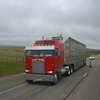 CIMG1042 - Trucks