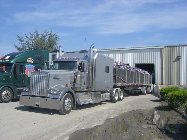 CIMG1395 Trucks