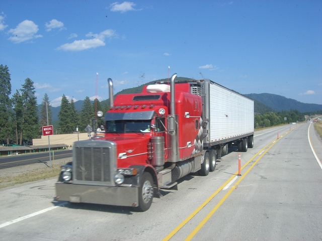 CIMG1468 Trucks