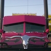CIMG1533 - Trucks