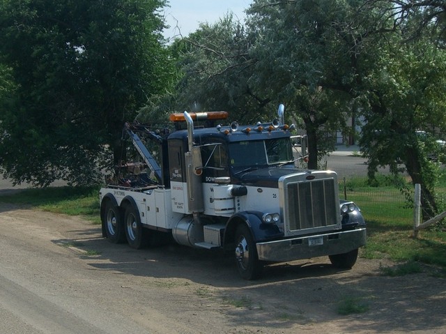 CIMG1653 Trucks