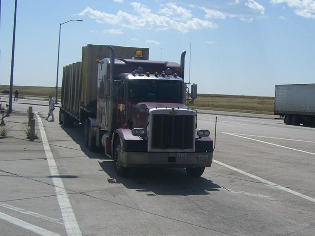 CIMG2581 Trucks