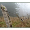old fog fence - Nature Images
