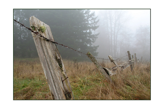 old fog fence Nature Images