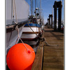 orange ball 2 - Vancouver Island