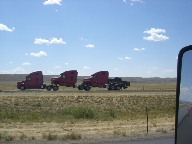CIMG2591 Trucks