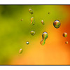 droplets - Close-Up Photography