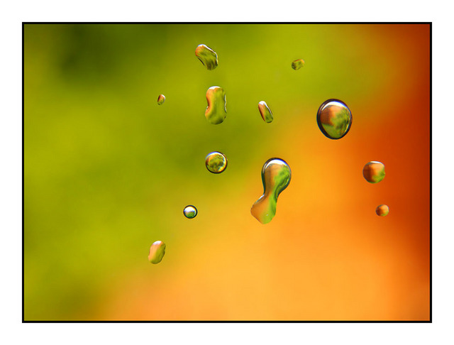 droplets Close-Up Photography