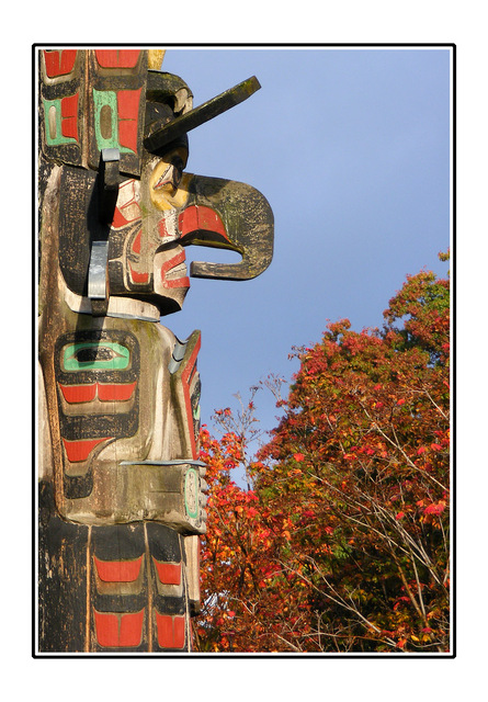 Fall color Totem Vancouver Island