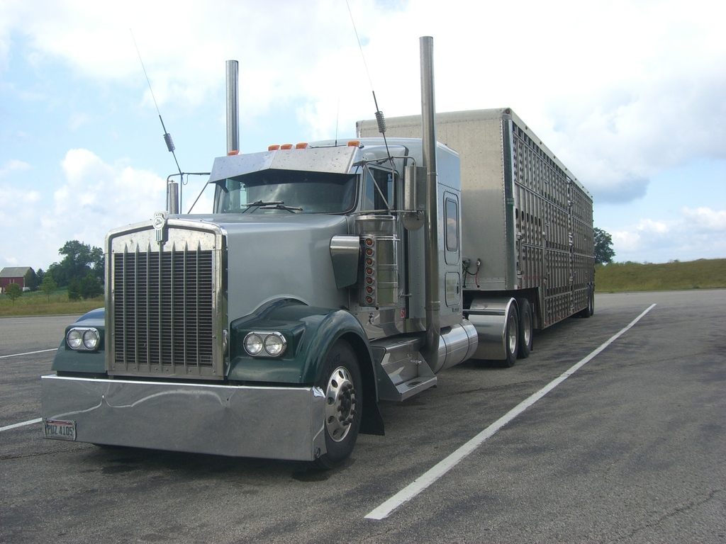 CIMG3404 - Trucks