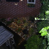 Rotstuin maken 09-09-09 12 - In de tuin 2010