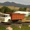 CIMG5518 - Trucks