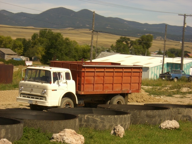 CIMG5518 Trucks