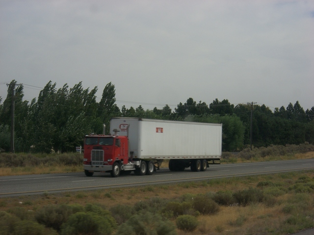 CIMG5319 Trucks