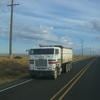 CIMG5305 - Trucks