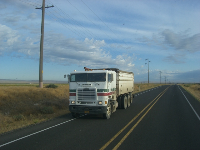 CIMG5305 Trucks
