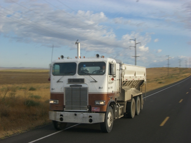CIMG5304 Trucks