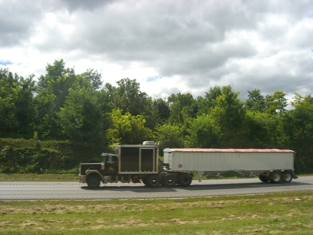 CIMG4588 Trucks