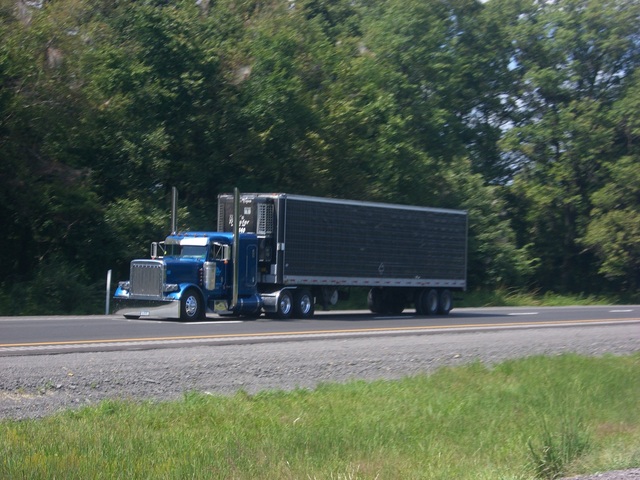 CIMG4474 Trucks